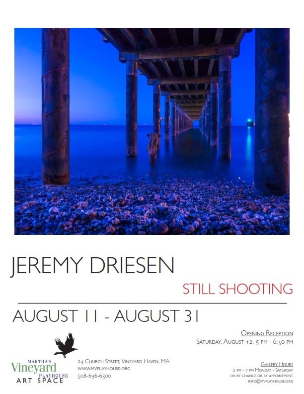 Jeremy Driesen ArtSpace Flyer_001